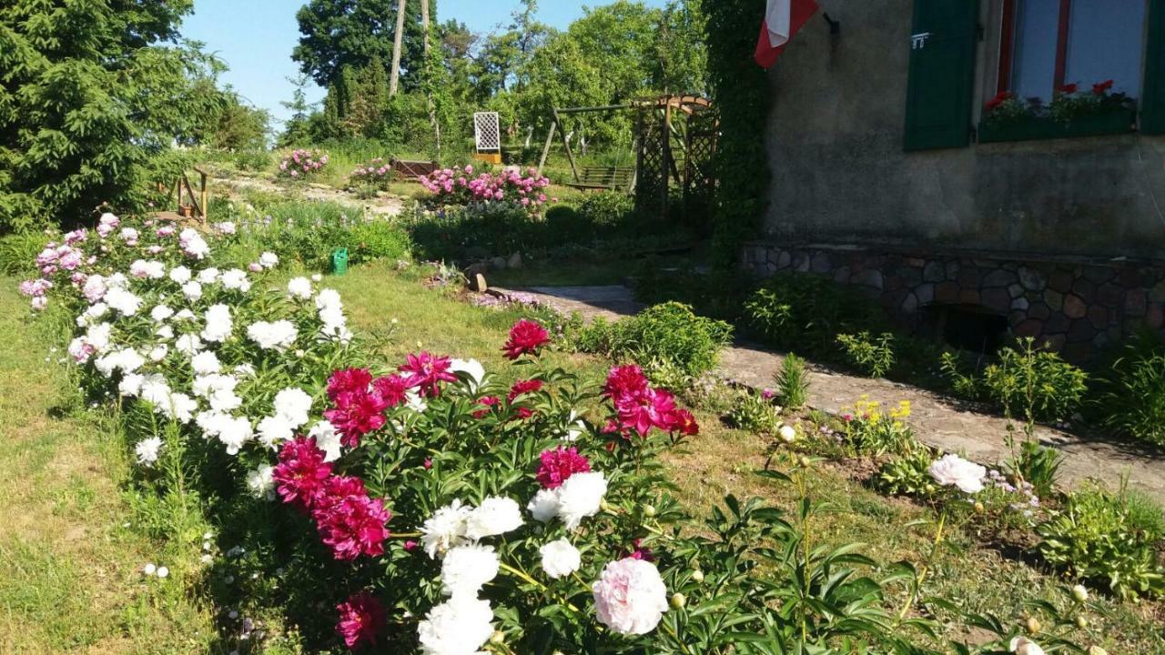 Nad Stawem Appartement Biala Olecka Buitenkant foto